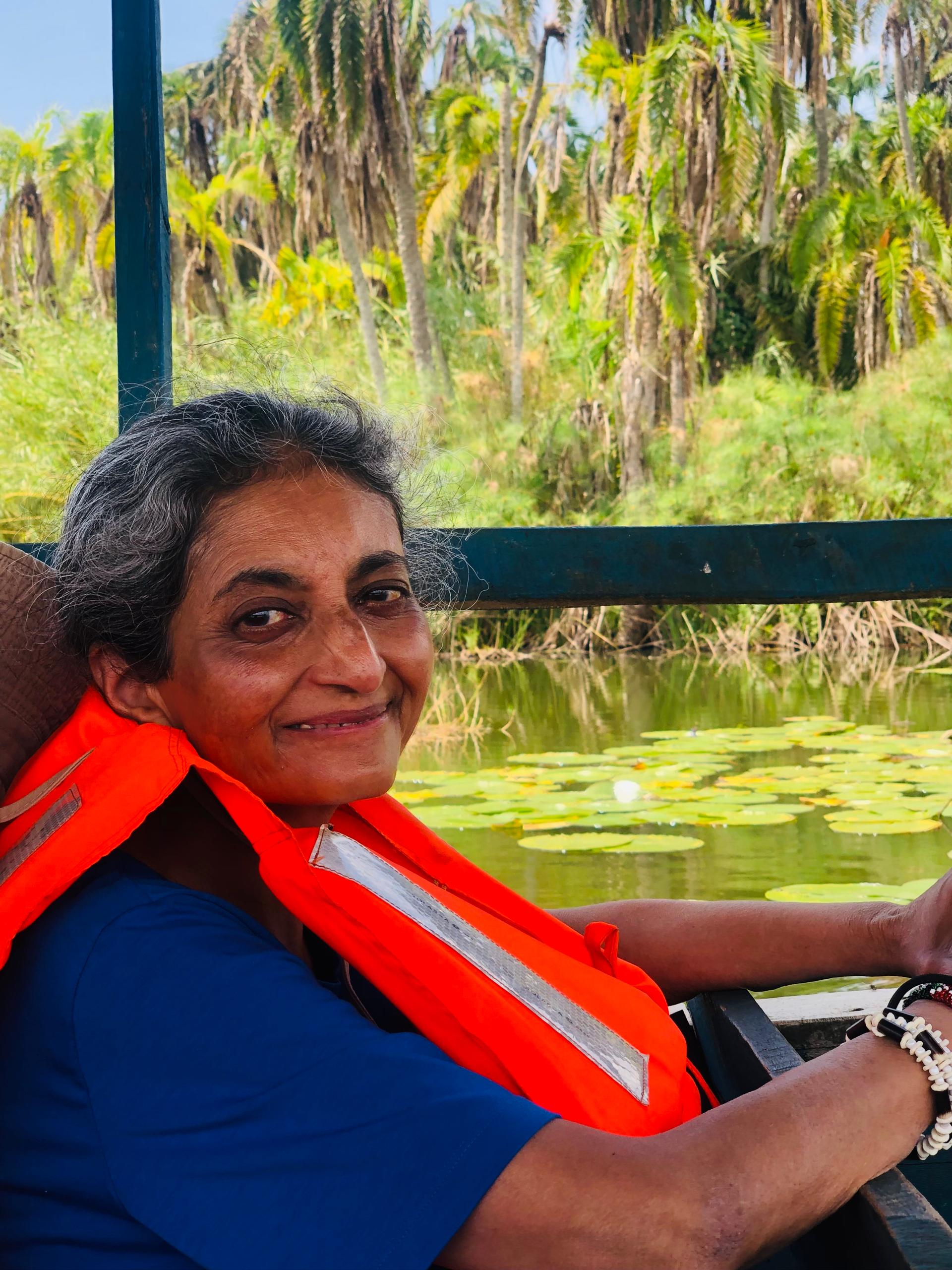 Birds resting on trees and islands at Birds Lake